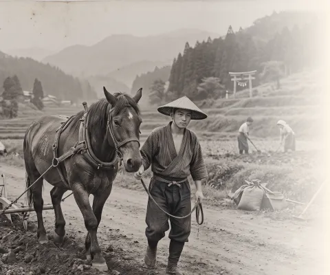 進化の画像1